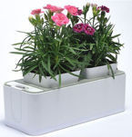 CZARNY PROJEKTOR LED HD DREAM 1280x768 2000:1 GW24